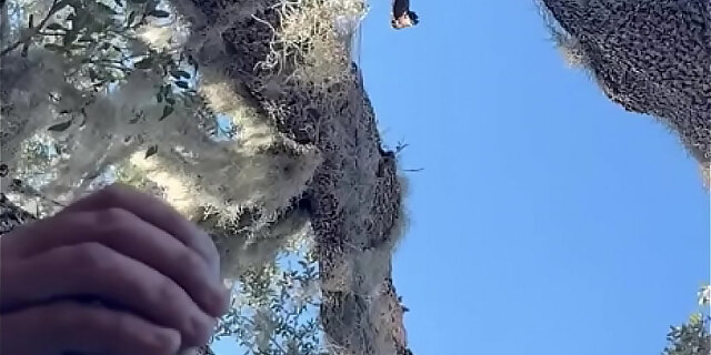 big cock,public