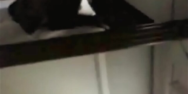 blowjob,molten,slut,teen,tiny
