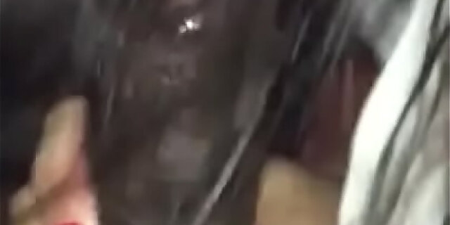 blowjob,exotic,latina